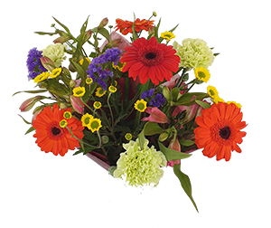 Blackboard Special from Flower Biz Christchurch